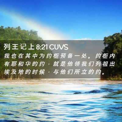 Picture 02 - 列 王 记 上 8:21 CUVS - 我 也 在 其 中 为 约 柜 预 备 一 处 - Bible Verse Picture