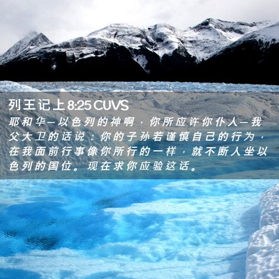 Picture 02 - 列 王 记 上 8:25 CUVS - 耶 和 华 ─ 以 色 列 的 神 啊 ， 你 - Bible Verse Picture