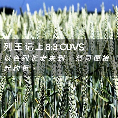 Picture 02 - 列 王 记 上 8:3 CUVS - 以 色 列 长 老 来 到 ， 祭 司 便 抬 - Bible Verse Picture