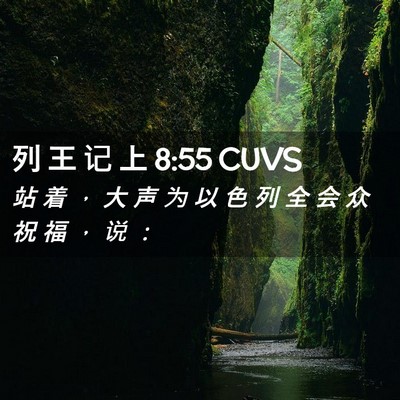 Picture 02 - 列 王 记 上 8:55 CUVS - 站 着 ， 大 声 为 以 色 列 全 会 众 - Bible Verse Picture