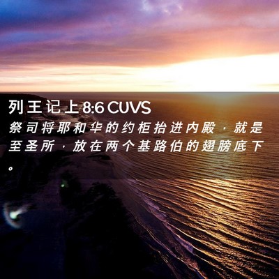 Picture 02 - 列 王 记 上 8:6 CUVS - 祭 司 将 耶 和 华 的 约 柜 抬 进 内 - Bible Verse Picture