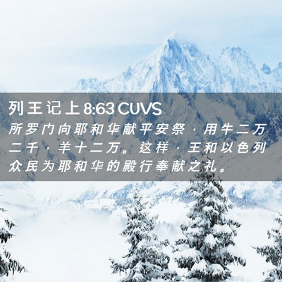 Picture 02 - 列 王 记 上 8:63 CUVS - 所 罗 门 向 耶 和 华 献 平 安 祭 ， - Bible Verse Picture