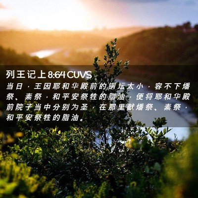 Picture 02 - 列 王 记 上 8:64 CUVS - 当 日 ， 王 因 耶 和 华 殿 前 的 铜 - Bible Verse Picture