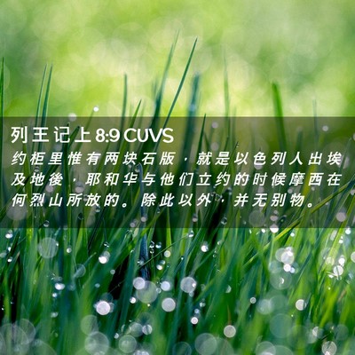 Picture 02 - 列 王 记 上 8:9 CUVS - 约 柜 里 惟 有 两 块 石 版 ， 就 是 - Bible Verse Picture