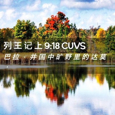 Picture 02 - 列 王 记 上 9:18 CUVS - 巴 拉 ， 并 国 中 旷 野 里 的 达 莫 - Bible Verse Picture