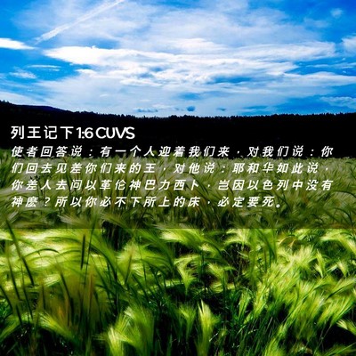 Picture 02 - 列 王 记 下 1:6 CUVS - 使 者 回 答 说 ： 有 一 个 人 迎 着 - Bible Verse Picture
