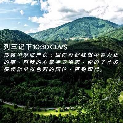 Picture 02 - 列 王 记 下 10:30 CUVS - 耶 和 华 对 耶 户 说 ： 因 你 办 好 - Bible Verse Picture