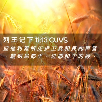 Picture 02 - 列 王 记 下 11:13 CUVS - 亚 他 利 雅 听 见 护 卫 兵 和 民 的 - Bible Verse Picture