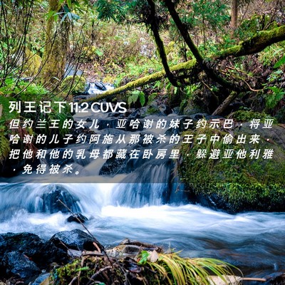 Picture 02 - 列 王 记 下 11:2 CUVS - 但 约 兰 王 的 女 儿 ， 亚 哈 谢 的 - Bible Verse Picture