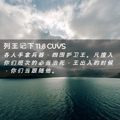 Picture 02 - 列 王 记 下 11:8 CUVS - 各 人 手 拿 兵 器 ， 四 围 护 卫 王 - Bible Verse Picture