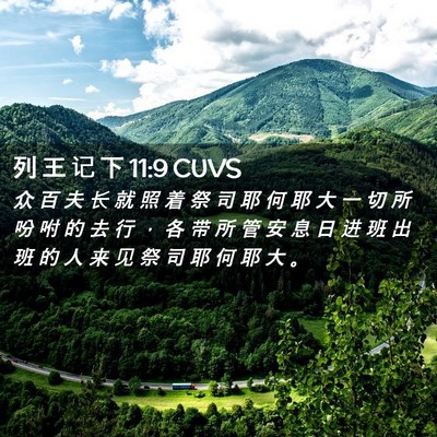 Picture 02 - 列 王 记 下 11:9 CUVS - 众 百 夫 长 就 照 着 祭 司 耶 何 耶 - Bible Verse Picture