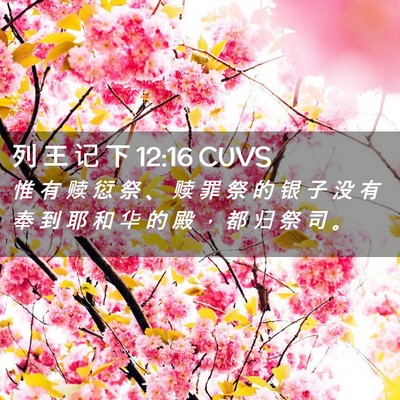 Picture 02 - 列 王 记 下 12:16 CUVS - 惟 有 赎 愆 祭 、 赎 罪 祭 的 银 子 - Bible Verse Picture
