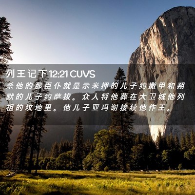 Picture 02 - 列 王 记 下 12:21 CUVS - 杀 他 的 那 臣 仆 就 是 示 米 押 的 - Bible Verse Picture