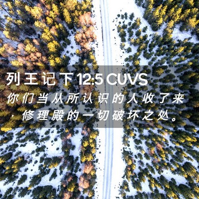 Picture 02 - 列 王 记 下 12:5 CUVS - 你 们 当 从 所 认 识 的 人 收 了 来 - Bible Verse Picture