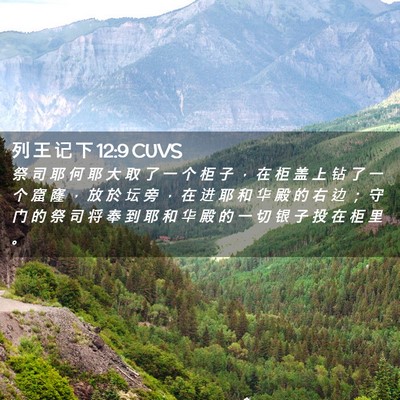 Picture 02 - 列 王 记 下 12:9 CUVS - 祭 司 耶 何 耶 大 取 了 一 个 柜 子 - Bible Verse Picture