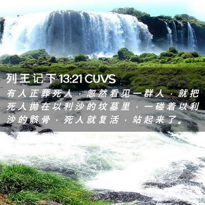 Picture 02 - 列 王 记 下 13:21 CUVS - 有 人 正 葬 死 人 ， 忽 然 看 见 一 - Bible Verse Picture