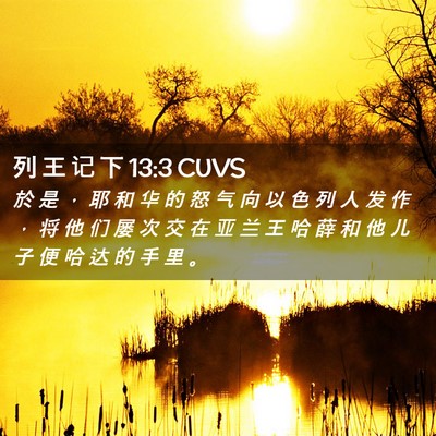Picture 02 - 列 王 记 下 13:3 CUVS - 於 是 ， 耶 和 华 的 怒 气 向 以 色 - Bible Verse Picture