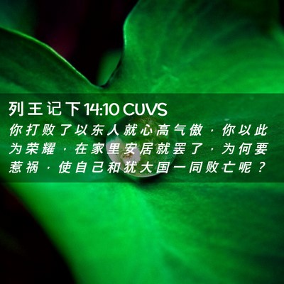 Picture 02 - 列 王 记 下 14:10 CUVS - 你 打 败 了 以 东 人 就 心 高 气 傲 - Bible Verse Picture