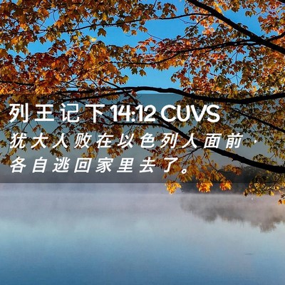 Picture 02 - 列 王 记 下 14:12 CUVS - 犹 大 人 败 在 以 色 列 人 面 前 ， - Bible Verse Picture