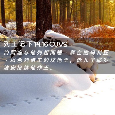 Picture 02 - 列 王 记 下 14:16 CUVS - 约 阿 施 与 他 列 祖 同 睡 ， 葬 在 - Bible Verse Picture