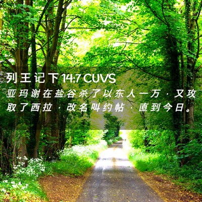 Picture 02 - 列 王 记 下 14:7 CUVS - 亚 玛 谢 在 盐 谷 杀 了 以 东 人 一 - Bible Verse Picture