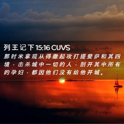 Picture 02 - 列 王 记 下 15:16 CUVS - 那 时 米 拿 现 从 得 撒 起 攻 打 提 - Bible Verse Picture