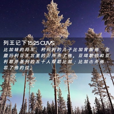 Picture 02 - 列 王 记 下 15:25 CUVS - 比 加 辖 的 将 军 、 利 玛 利 的 儿 - Bible Verse Picture