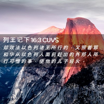 Picture 02 - 列 王 记 下 16:3 CUVS - 却 效 法 以 色 列 诸 王 所 行 的 ， - Bible Verse Picture