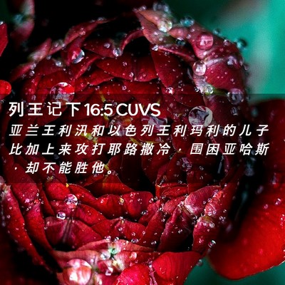 Picture 02 - 列 王 记 下 16:5 CUVS - 亚 兰 王 利 汛 和 以 色 列 王 利 玛 - Bible Verse Picture
