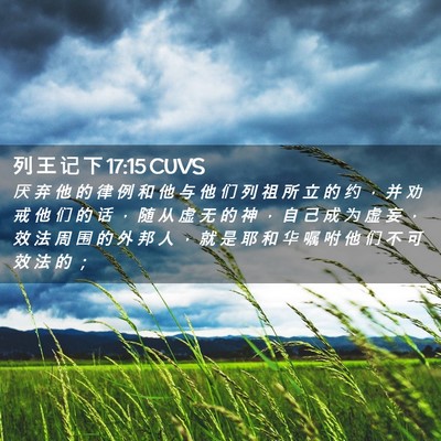 Picture 02 - 列 王 记 下 17:15 CUVS - 厌 弃 他 的 律 例 和 他 与 他 们 列 - Bible Verse Picture