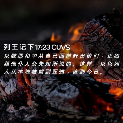 Picture 02 - 列 王 记 下 17:23 CUVS - 以 致 耶 和 华 从 自 己 面 前 赶 出 - Bible Verse Picture