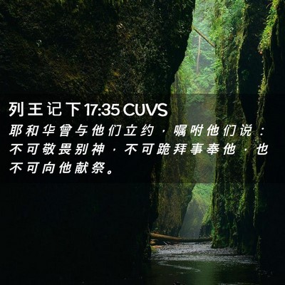 Picture 02 - 列 王 记 下 17:35 CUVS - 耶 和 华 曾 与 他 们 立 约 ， 嘱 咐 - Bible Verse Picture