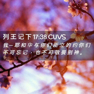 Picture 02 - 列 王 记 下 17:38 CUVS - 我 ─ 耶 和 华 与 你 们 所 立 的 约 - Bible Verse Picture