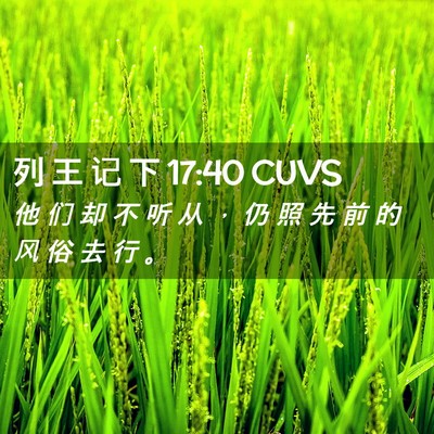 Picture 02 - 列 王 记 下 17:40 CUVS - 他 们 却 不 听 从 ， 仍 照 先 前 的 - Bible Verse Picture