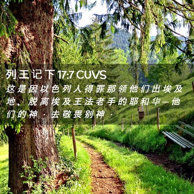 Picture 02 - 列 王 记 下 17:7 CUVS - 这 是 因 以 色 列 人 得 罪 那 领 他 - Bible Verse Picture