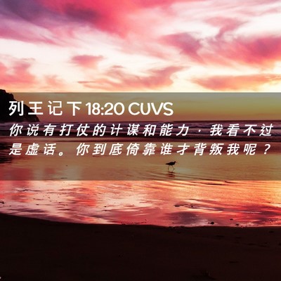 Picture 02 - 列 王 记 下 18:20 CUVS - 你 说 有 打 仗 的 计 谋 和 能 力 ， - Bible Verse Picture