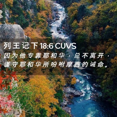 Picture 02 - 列 王 记 下 18:6 CUVS - 因 为 他 专 靠 耶 和 华 ， 总 不 离 - Bible Verse Picture