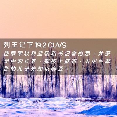 Picture 02 - 列 王 记 下 19:2 CUVS - 使 家 宰 以 利 亚 敬 和 书 记 舍 伯 - Bible Verse Picture