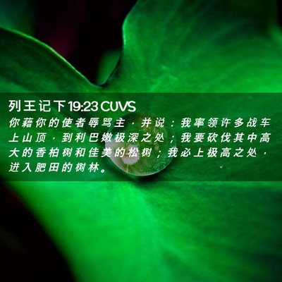 Picture 02 - 列 王 记 下 19:23 CUVS - 你 藉 你 的 使 者 辱 骂 主 ， 并 说 - Bible Verse Picture