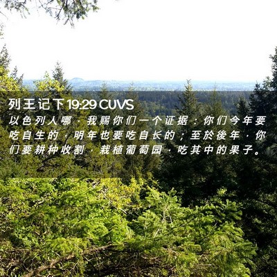Picture 02 - 列 王 记 下 19:29 CUVS - 以 色 列 人 哪 ， 我 赐 你 们 一 个 - Bible Verse Picture