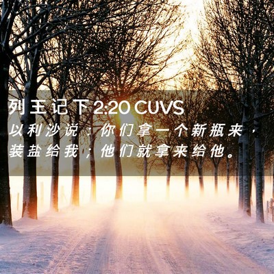 Picture 02 - 列 王 记 下 2:20 CUVS - 以 利 沙 说 ： 你 们 拿 一 个 新 瓶 - Bible Verse Picture