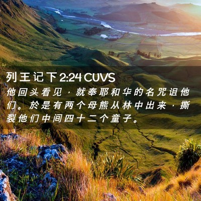 Picture 02 - 列 王 记 下 2:24 CUVS - 他 回 头 看 见 ， 就 奉 耶 和 华 的 - Bible Verse Picture