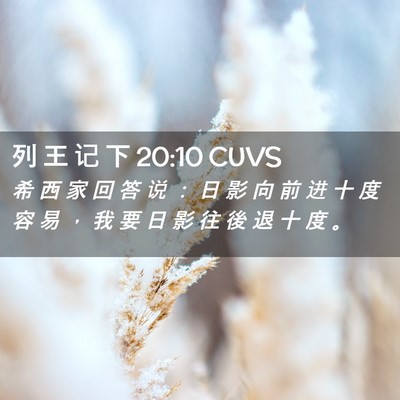 Picture 02 - 列 王 记 下 20:10 CUVS - 希 西 家 回 答 说 ： 日 影 向 前 进 - Bible Verse Picture