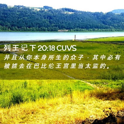 Picture 02 - 列 王 记 下 20:18 CUVS - 并 且 从 你 本 身 所 生 的 众 子 ， - Bible Verse Picture
