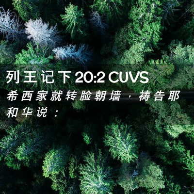 Picture 02 - 列 王 记 下 20:2 CUVS - 希 西 家 就 转 脸 朝 墙 ， 祷 告 耶 - Bible Verse Picture