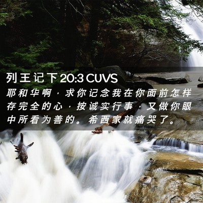 Picture 02 - 列 王 记 下 20:3 CUVS - 耶 和 华 啊 ， 求 你 记 念 我 在 你 - Bible Verse Picture