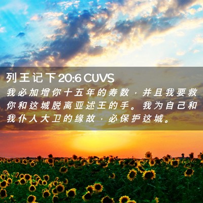 Picture 02 - 列 王 记 下 20:6 CUVS - 我 必 加 增 你 十 五 年 的 寿 数 ， - Bible Verse Picture