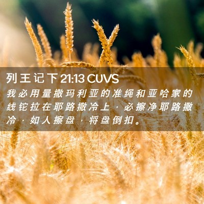 Picture 02 - 列 王 记 下 21:13 CUVS - 我 必 用 量 撒 玛 利 亚 的 准 绳 和 - Bible Verse Picture