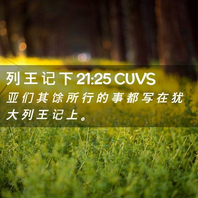 Picture 02 - 列 王 记 下 21:25 CUVS - 亚 们 其 馀 所 行 的 事 都 写 在 犹 - Bible Verse Picture