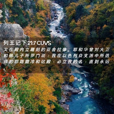 Picture 02 - 列 王 记 下 21:7 CUVS - 又 在 殿 内 立 雕 刻 的 亚 舍 拉 像 - Bible Verse Picture